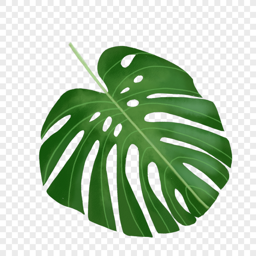 Leaf Png Image & Psd File Free Download - Lovepik 