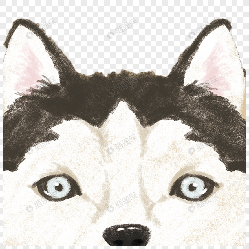 siberian husky png image picture free download 400230829 lovepik com siberian husky png image picture free