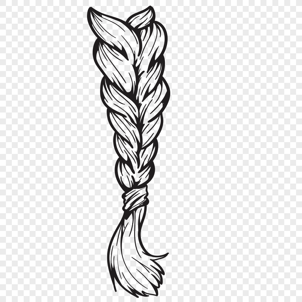 Braid vector graphics of sketching hair png image_picture free download