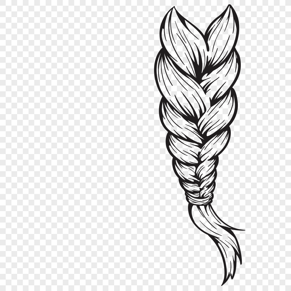 Braid vector graphics of sketching hair png image_picture free download ...