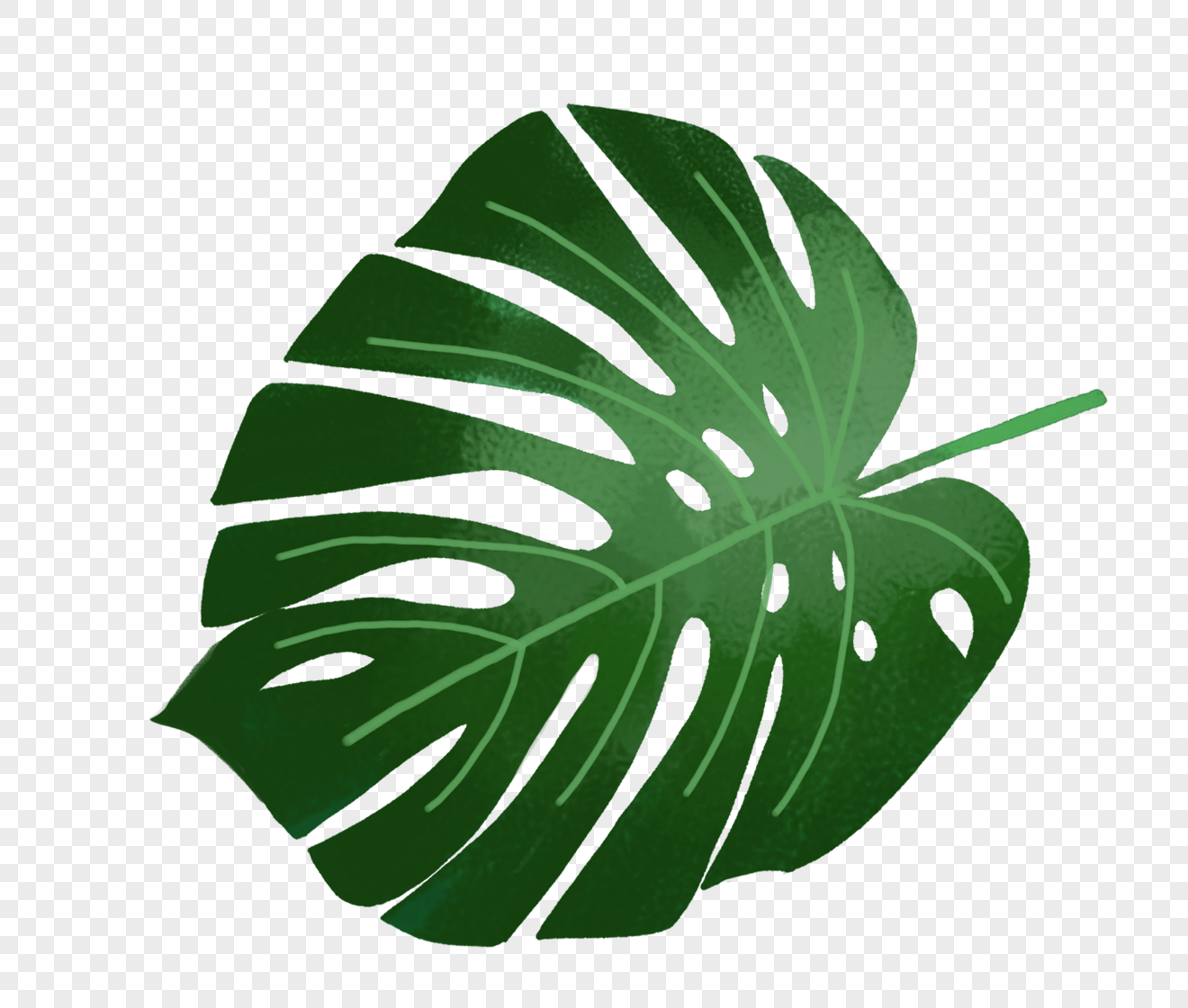 Tropical plant leaves png image_picture free download 400232100_lovepik.com