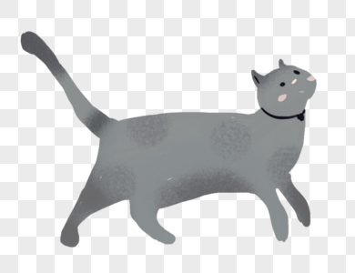 Sky Cats PNG Images With Transparent Background  Free Download On 