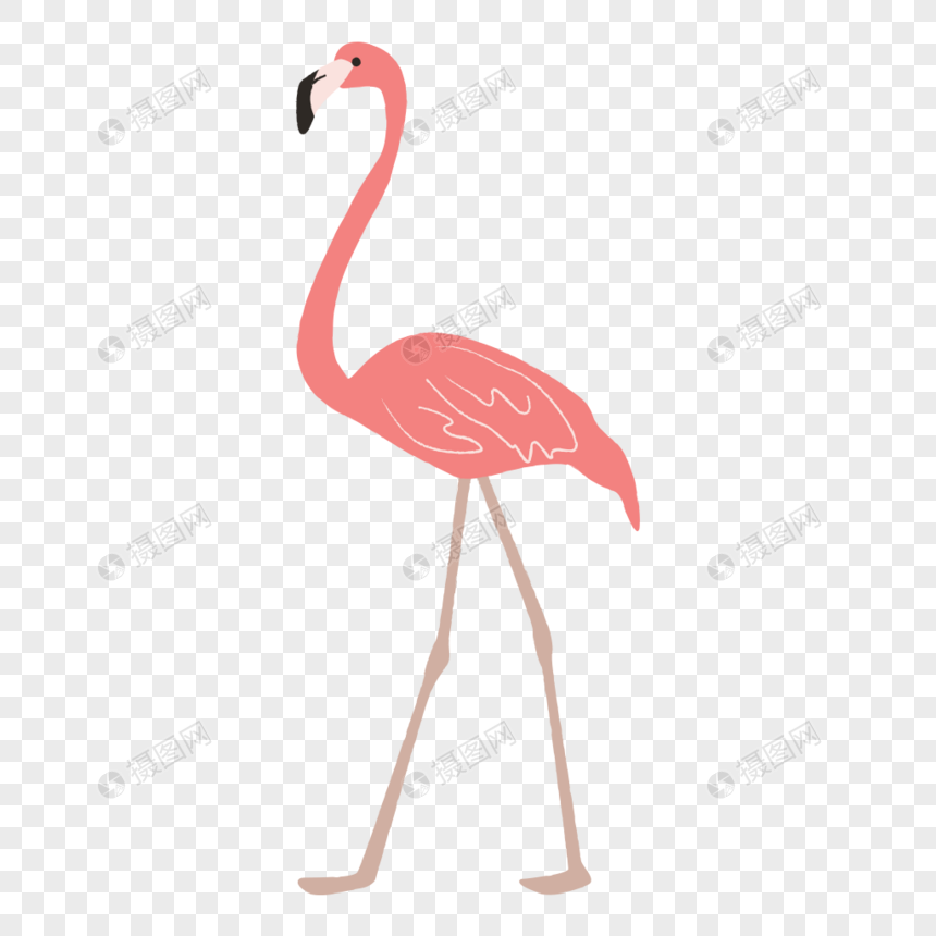 Gambar Burung Flamingo Kartun