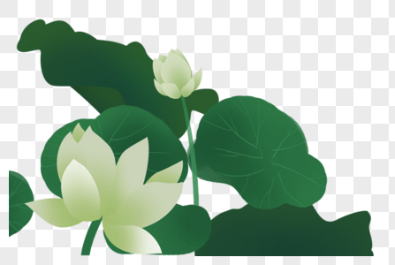 White Lotus Png Images With Transparent Background Free Download On Lovepik