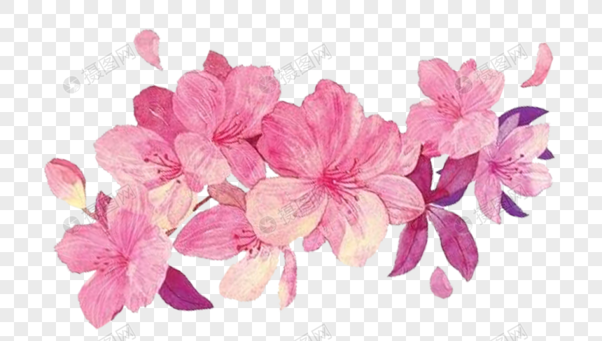 Pink Flowers Png Image Psd File Free Download Lovepik