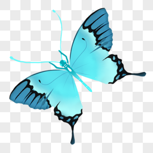 Beautiful glowing blue butterfly png image_picture free download