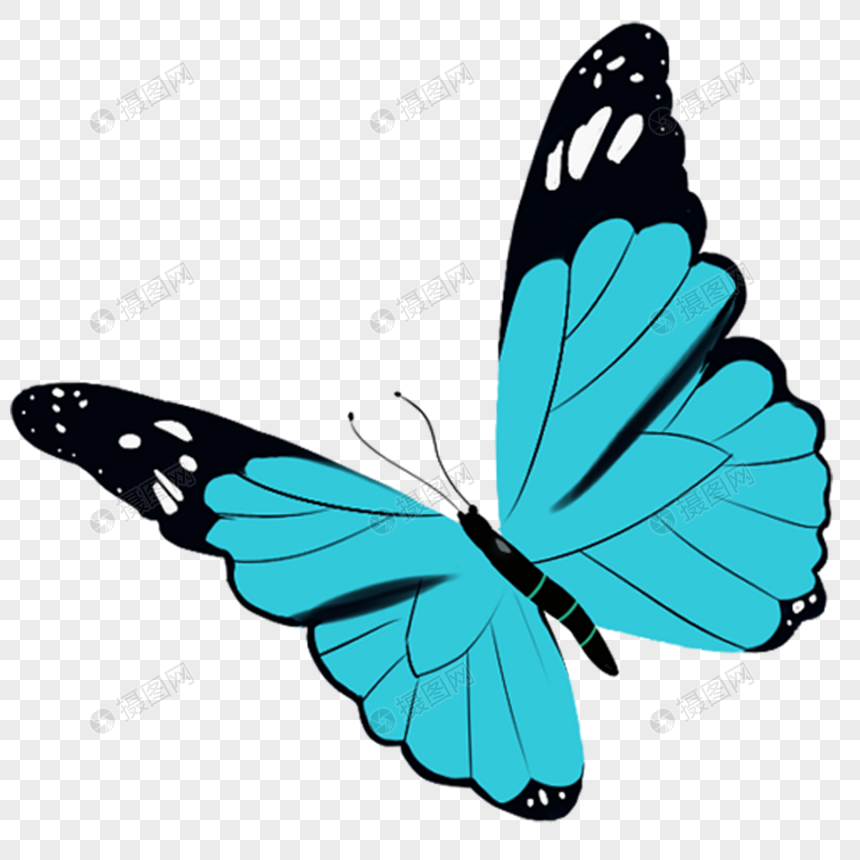 Butterfly Insect Drawing Clip Art - Blue Butterfly Image Simple - Free  Transparent PNG Clipart Images Download
