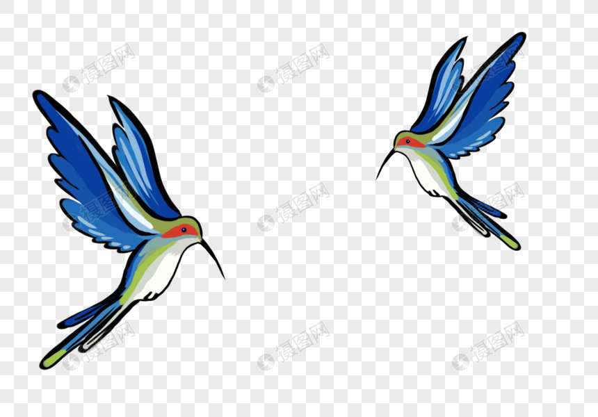 100 Gambar Burung Kolibri Kartun Gratis
