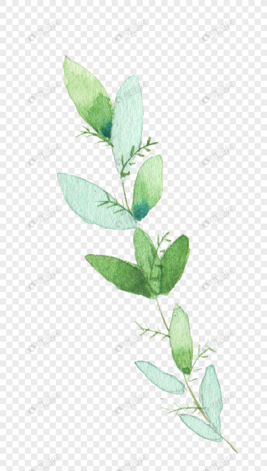 Watercolor Hand Painted Plant Material PNG Transparent And Clipart ...