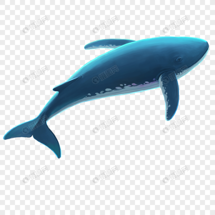 Big Whale Png Image Picture Free Download 400269444 Lovepik Com