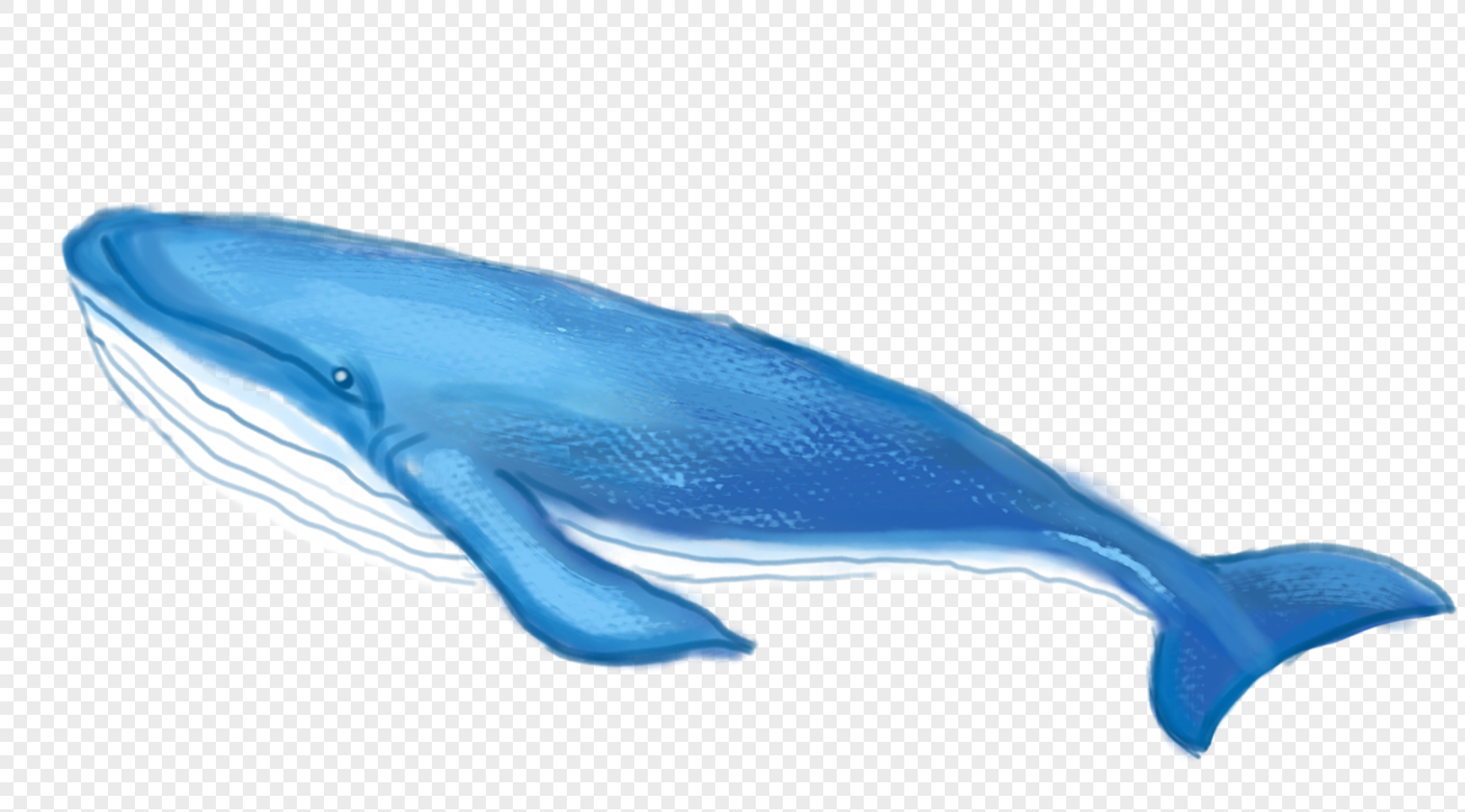 Синий кит на прозрачном фоне