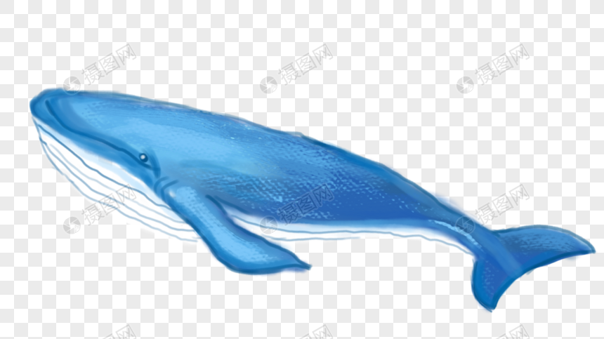 Lovepik صورة Png 400270444 Id الرسومات بحث صور الحوت الأزرق الكبير