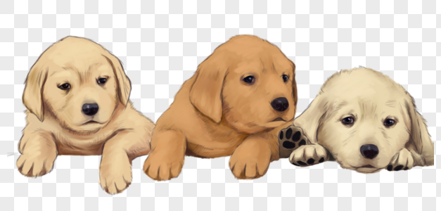 Dog PNG Images With Transparent Background | Free Download On Lovepik