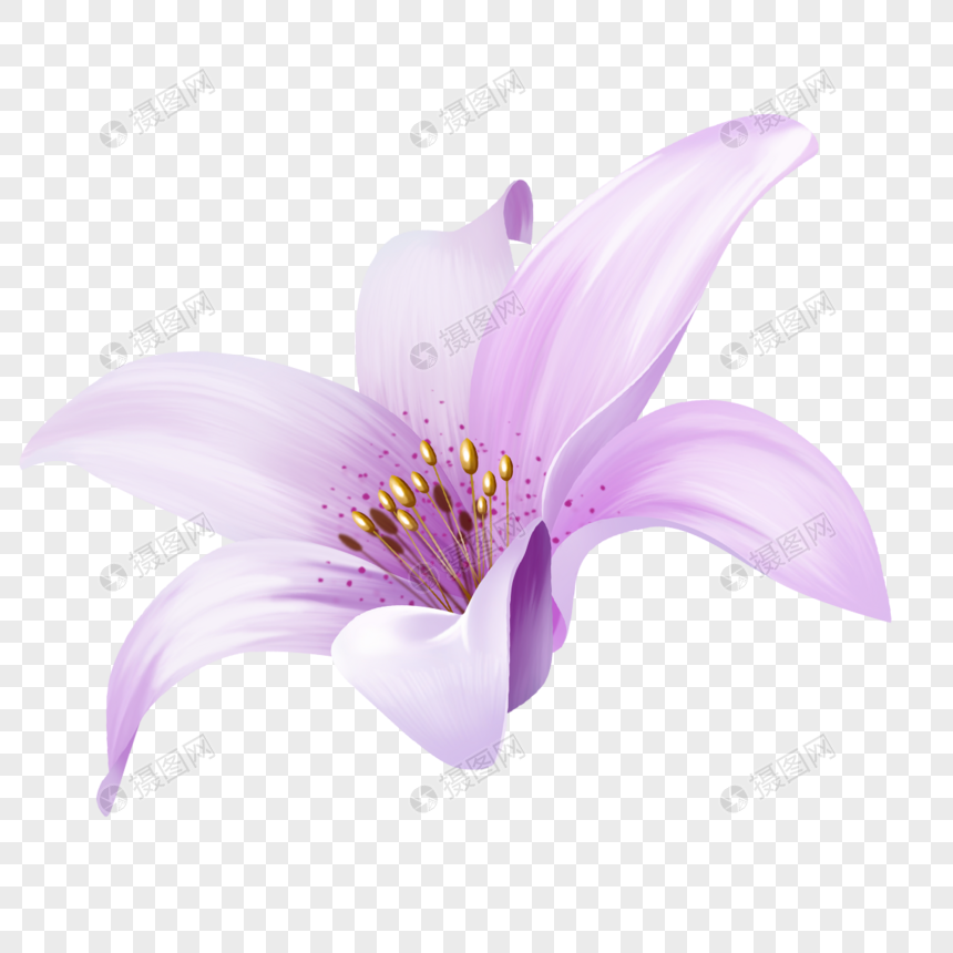 Flores Moradas PNG Imágenes Gratis - Lovepik