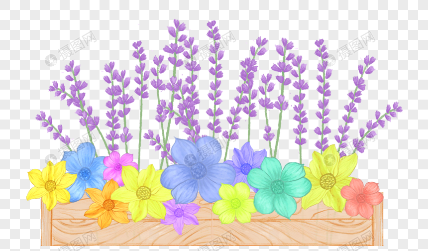 Flor De Lavanda Cesta Planta Flor PNG Imágenes Gratis - Lovepik