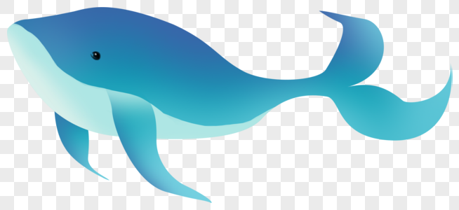 cartoon whale