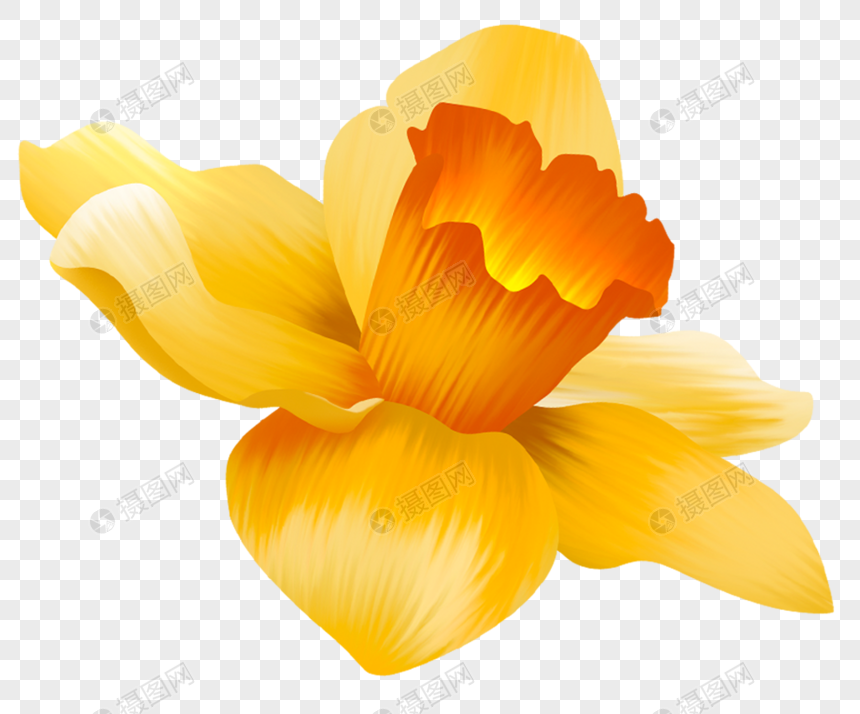 Yellow Flower PNG White Transparent And Clipart Image For Free Download -  Lovepik | 400315952