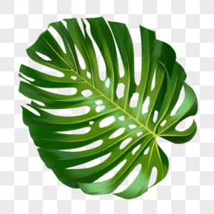 Green Leaves PNG Picture And Clipart Image For Free Download - Lovepik ...