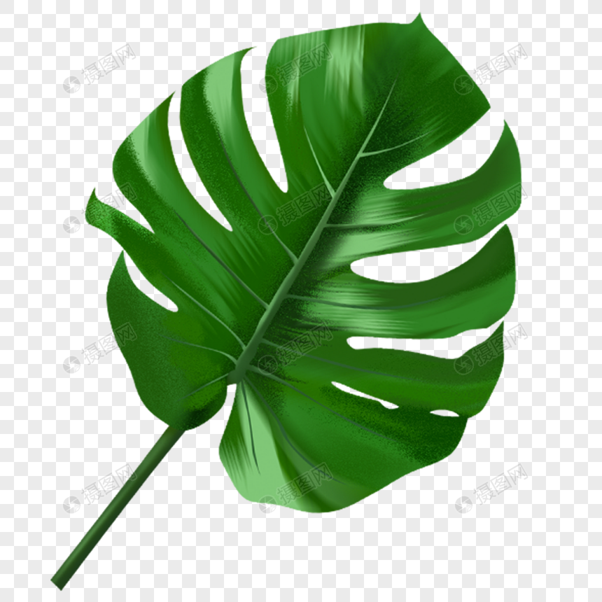 Green Leaves Png Image Picture Free Download Lovepik Com