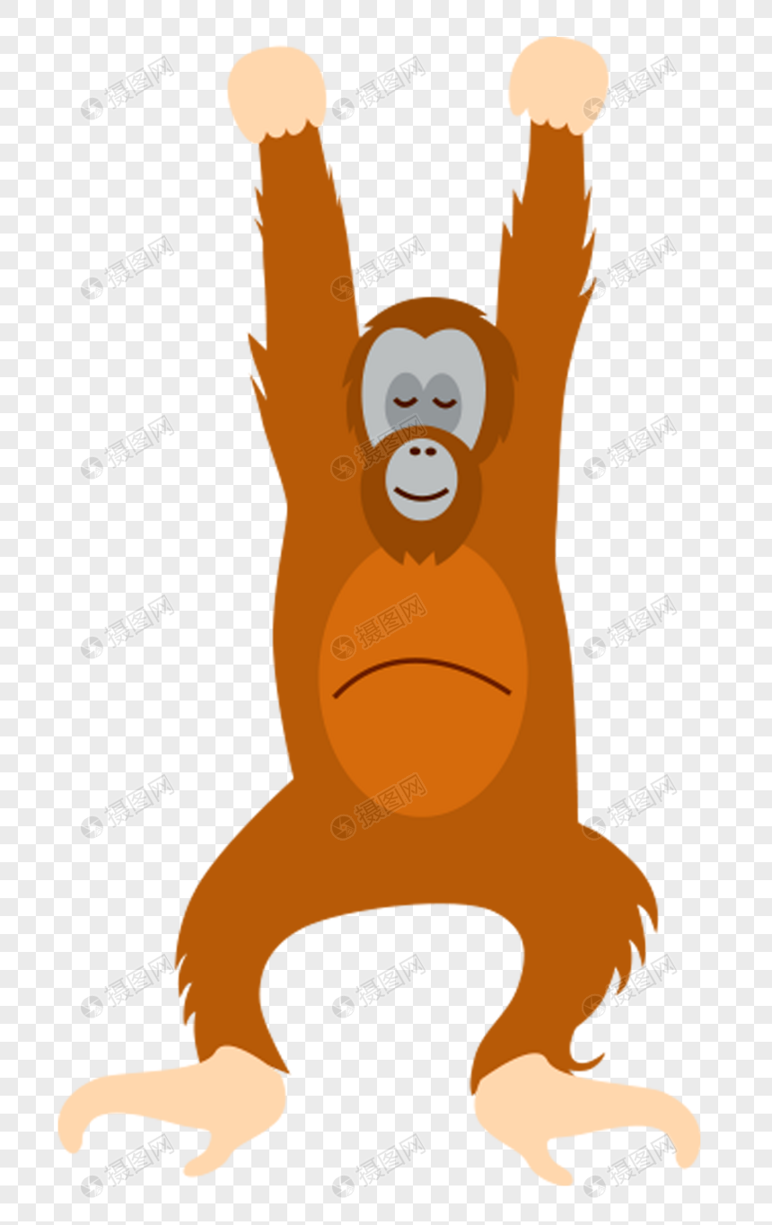 Orangutan Merah Png Grafik Gambar Unduh Gratis Lovepik