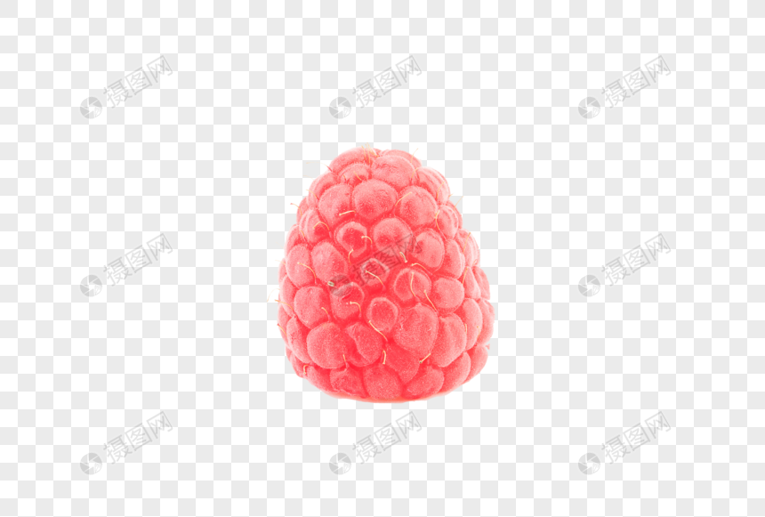 photo de une framboise numero de l image400331326 format d image png fr lovepik com lovepik