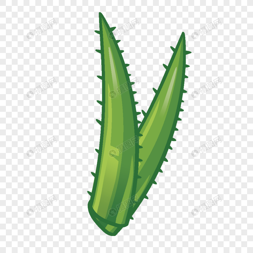 Cartoon hand painted two aloe vera leaf material png image_picture free