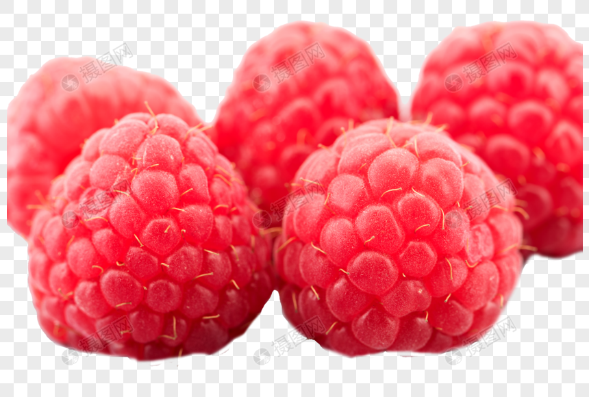 some fresh raspberries png image picture free download 400363760 lovepik com lovepik