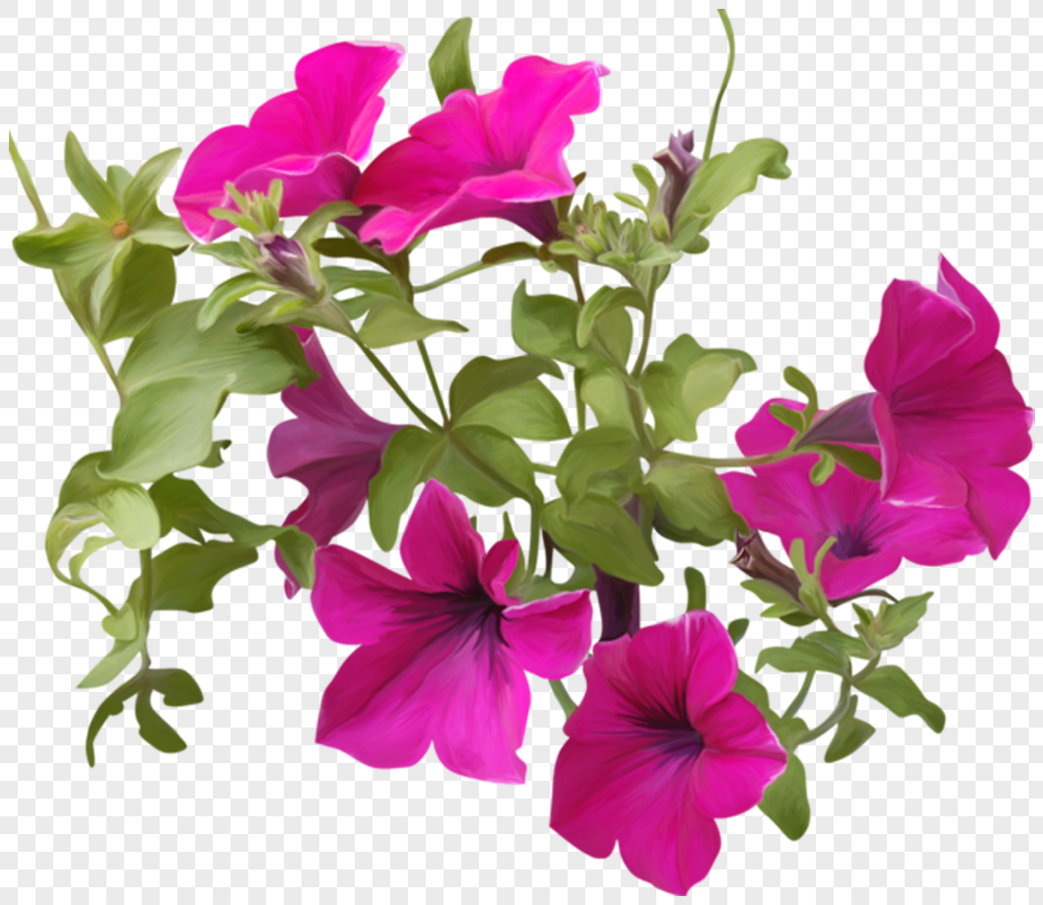 Cartoon trumpet flower png image_picture free download ...