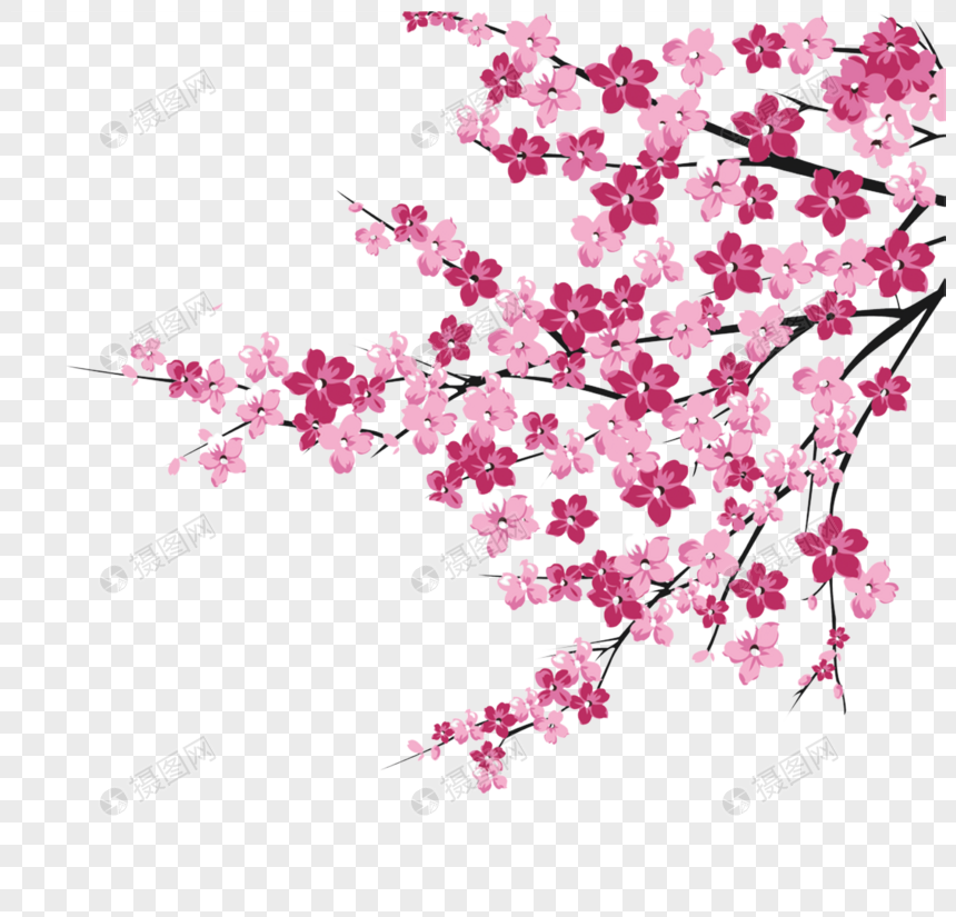 87 Gambar Motif Bunga Sakura Terlihat Keren