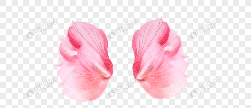 angel wing png image picture free download 400396708 lovepik com angel wing png image picture free