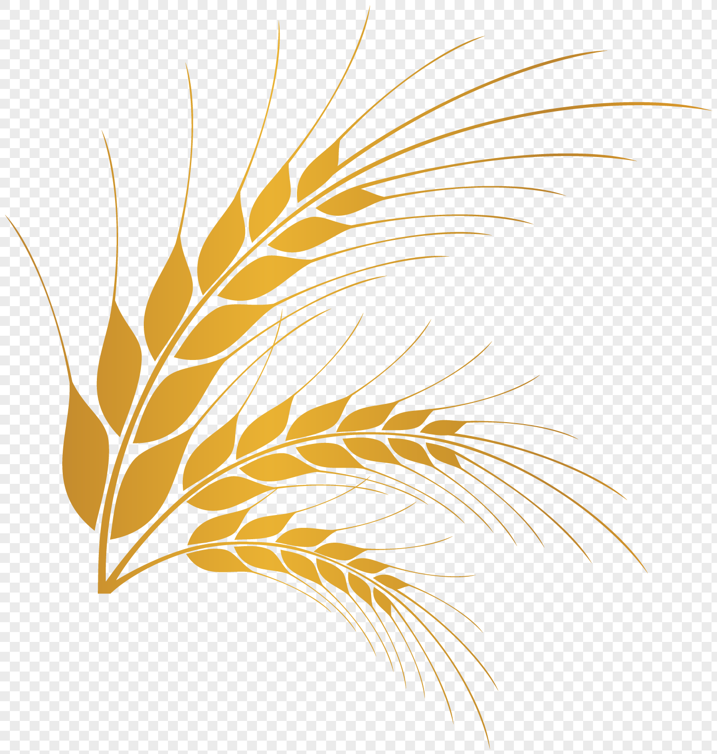 Колоски пшеницы логотип
