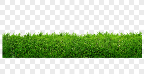 24000 the grass hd photos free download lovepik com 24000 the grass hd photos free