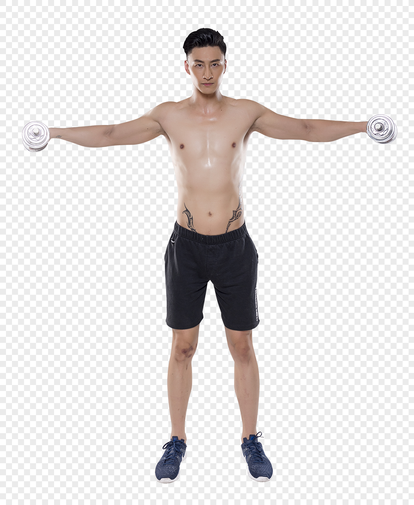 Muscle Png Image Background - Arm Muscles Biceps Triceps, Transparent Png ,  Transparent Png Image - PNGitem