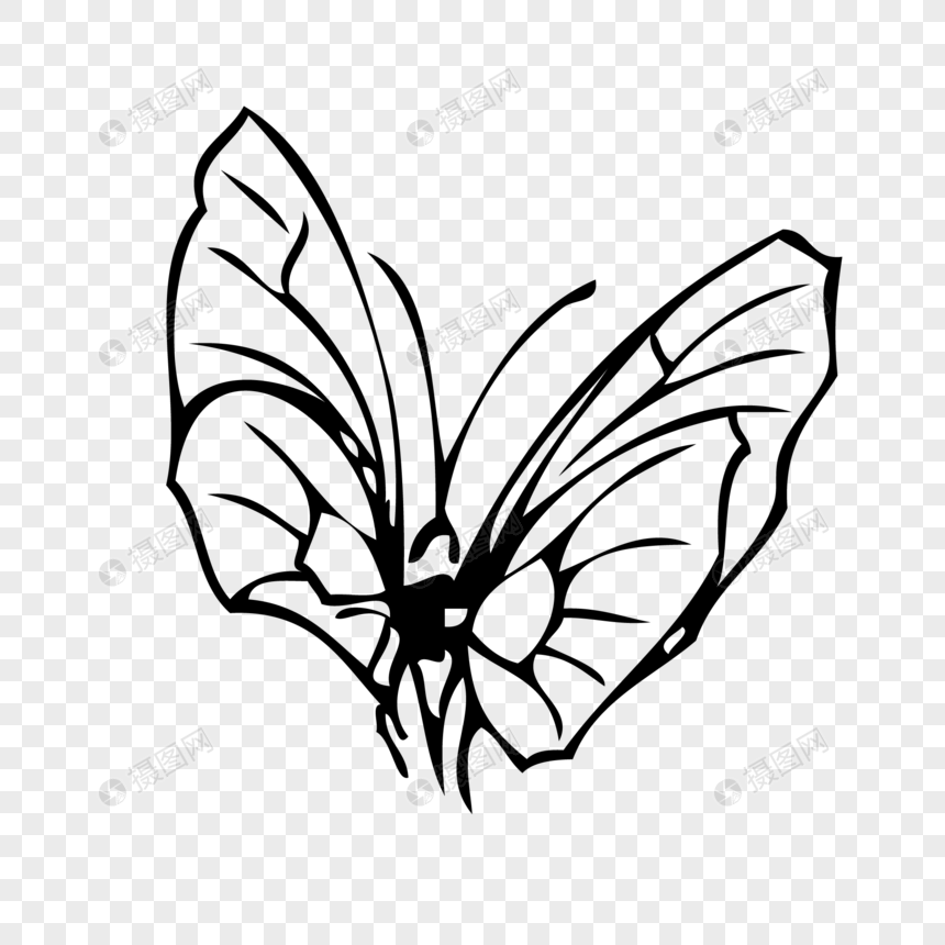 Kupu Kupu Serangga Sketsa Gambar Hewan - Contoh Sketsa Gambar