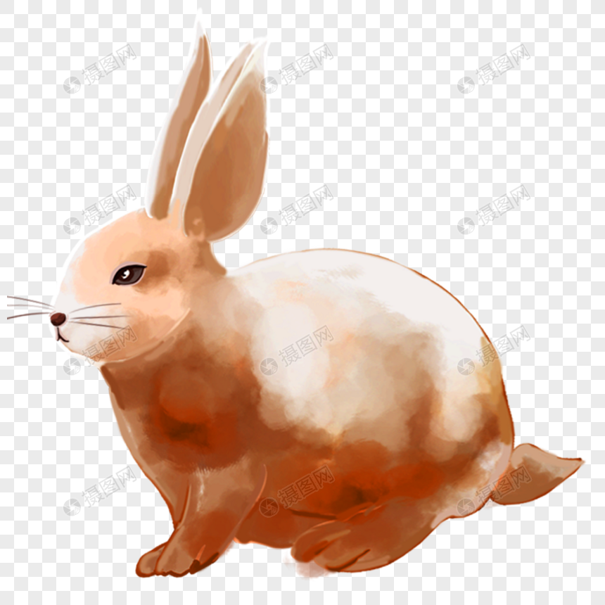 Jade Hare Png Image Picture Free Download 400452582 Lovepik Com