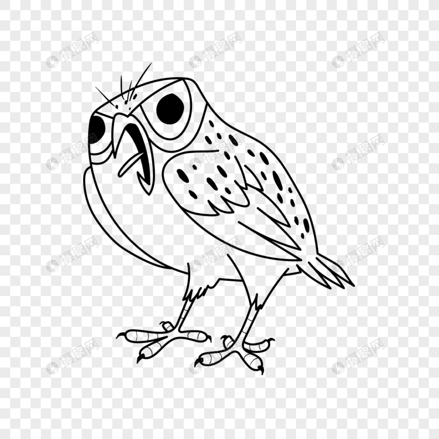 Photo De Matériel De Vecteur De Hibou De Dessin Au