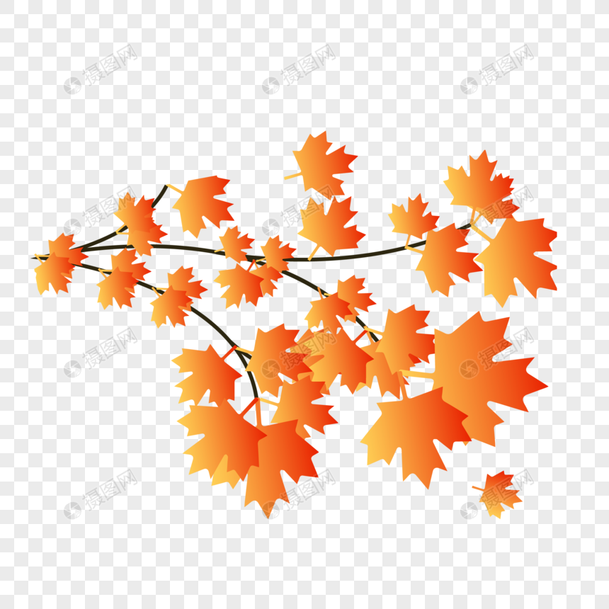 Maple Leaves Png Image Picture Free Download Lovepik Com