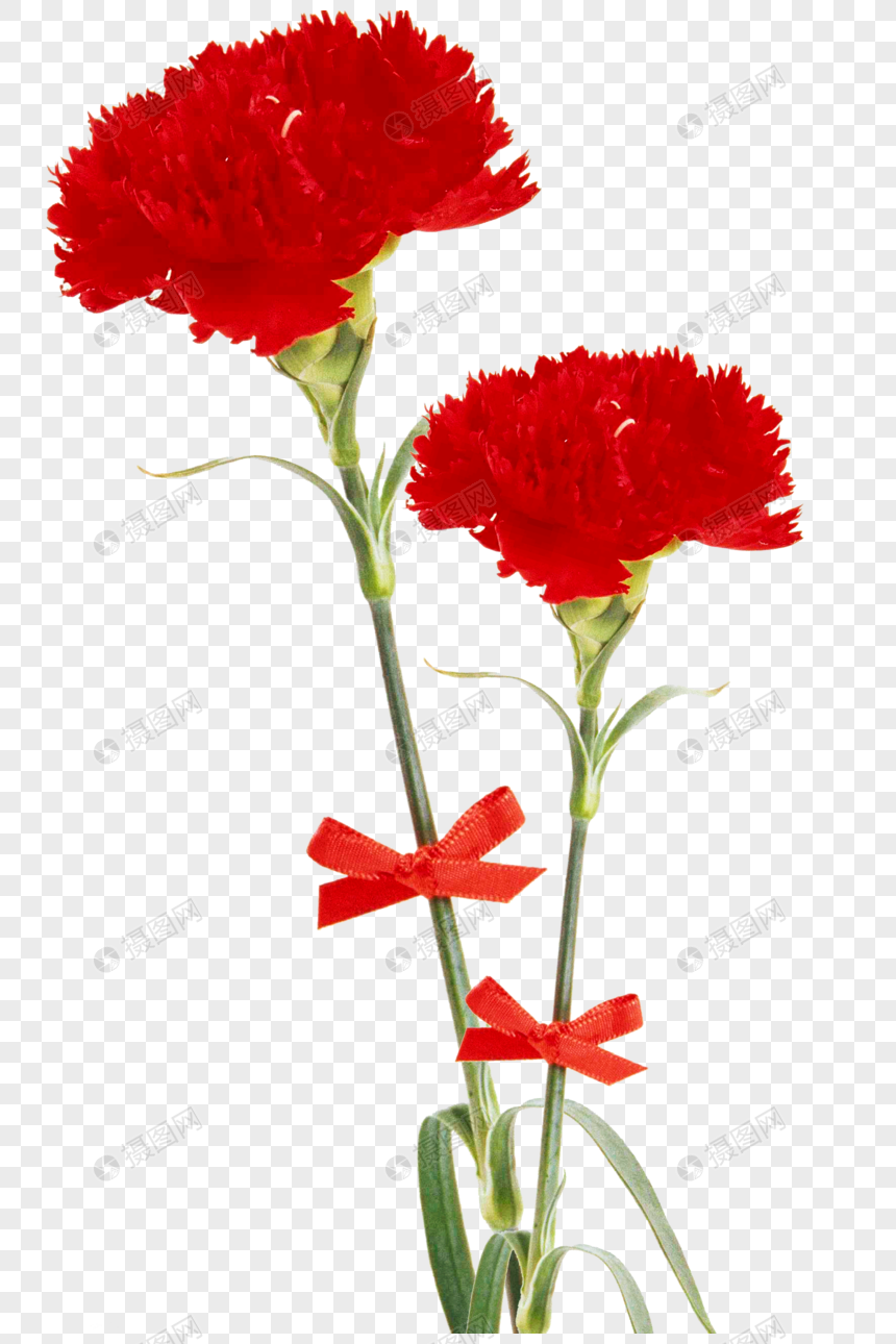 Red Flowers Png Free - Cat's Blog