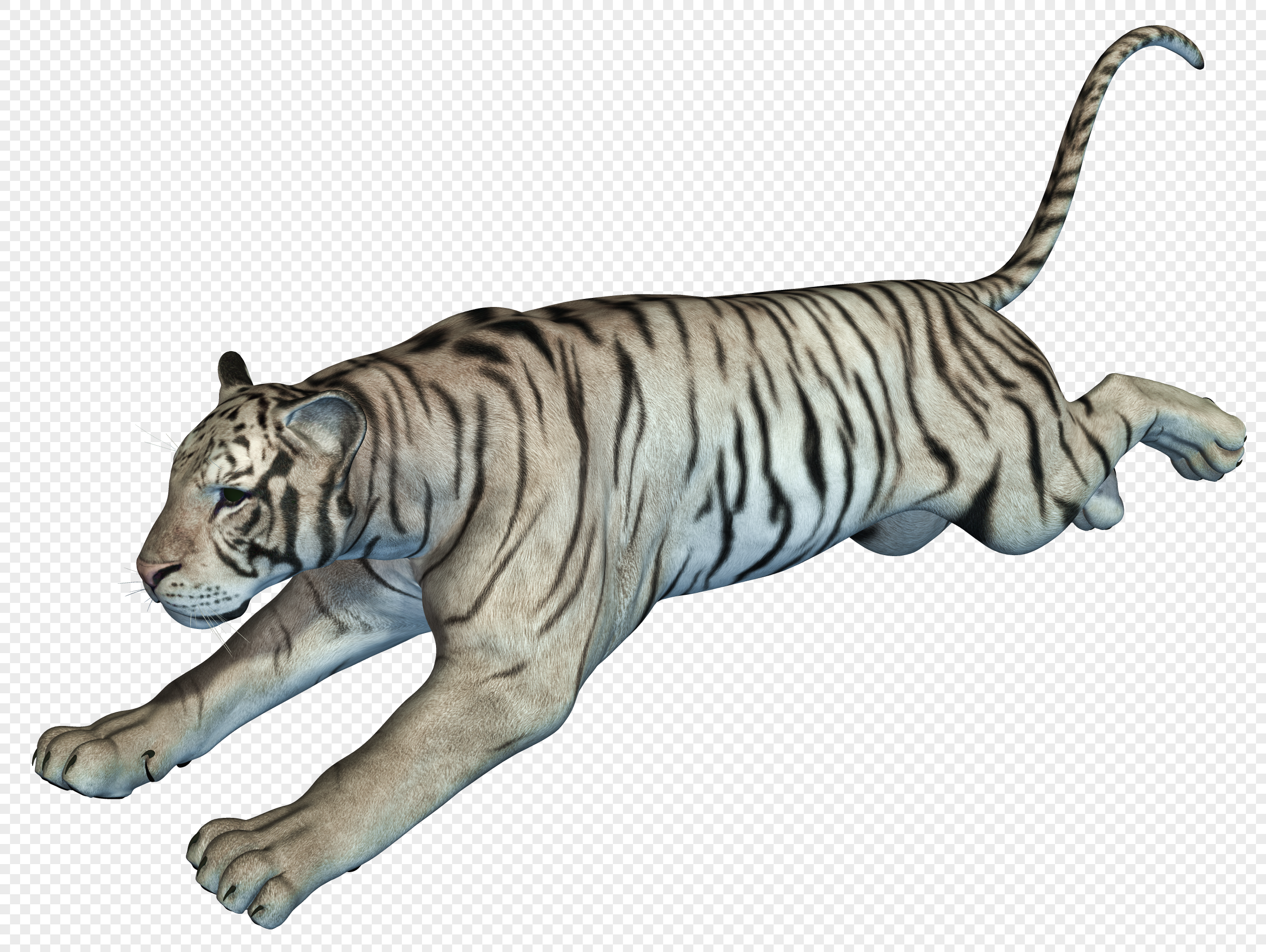 Download Gambar Wajah Harimau Downloadjpg