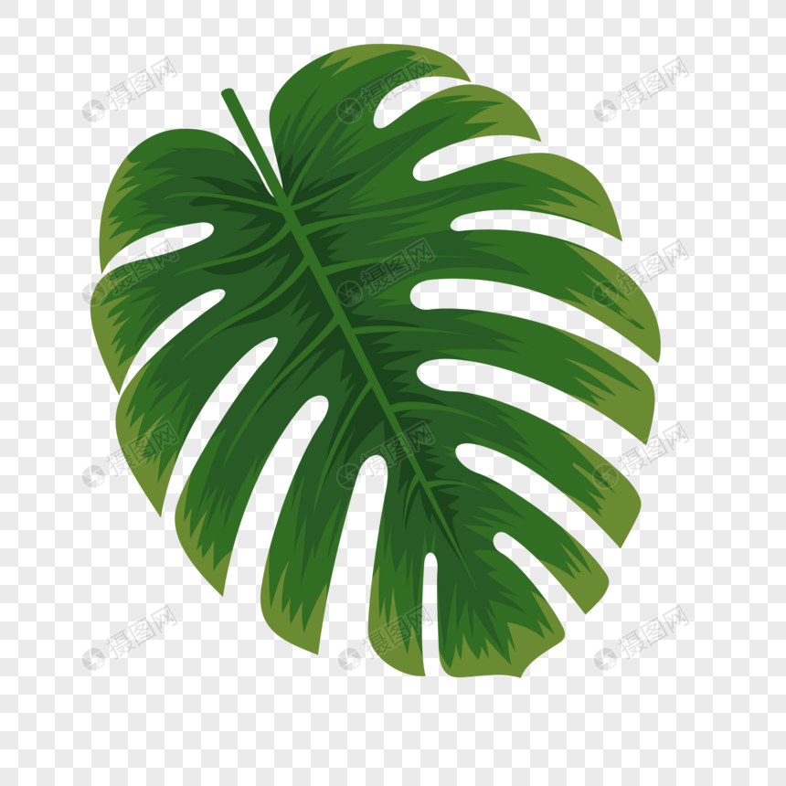 Tropical plant leaves png image_picture free download 400536630_lovepik.com