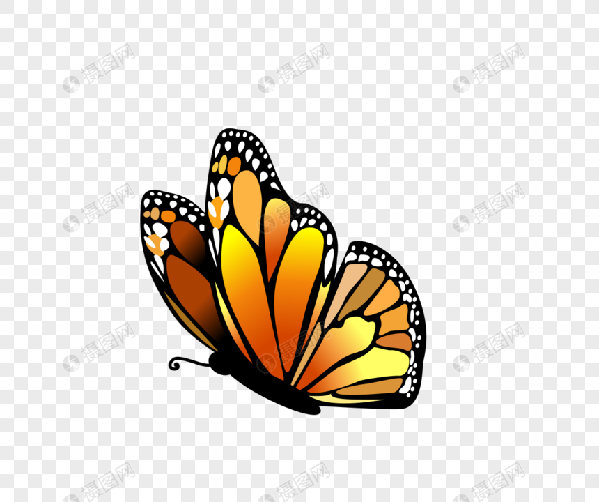 bahan vektor kupu kupu warna serangga gambar unduh gratis_ Grafik