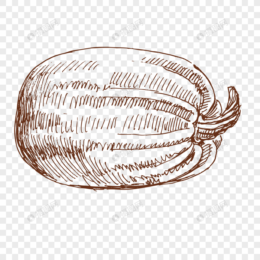 20 Ide Gambar  Sketsa  Melon  The Toosh