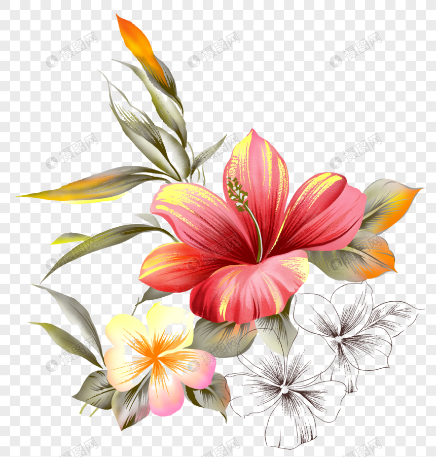  Gambar  Kartun  Bunga  Kembang  Sepatu  Gambar  Bunga 