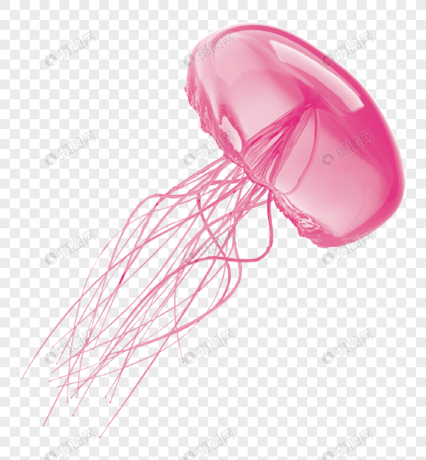 Medusas De Dibujos Animados De Color Rosa Imagen Descargar_PRF Gráficos ...