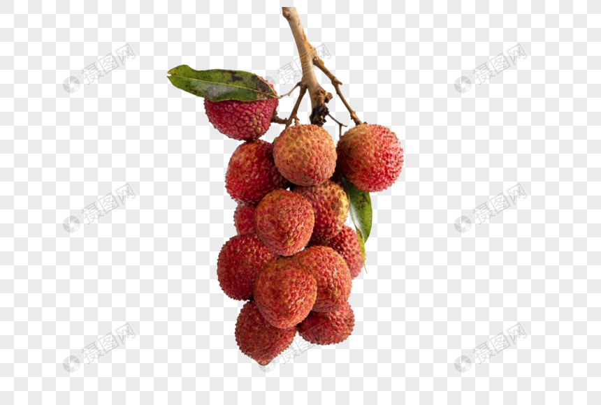 summer fruit lychee png image picture free download 400636585 lovepik com summer fruit lychee png image picture