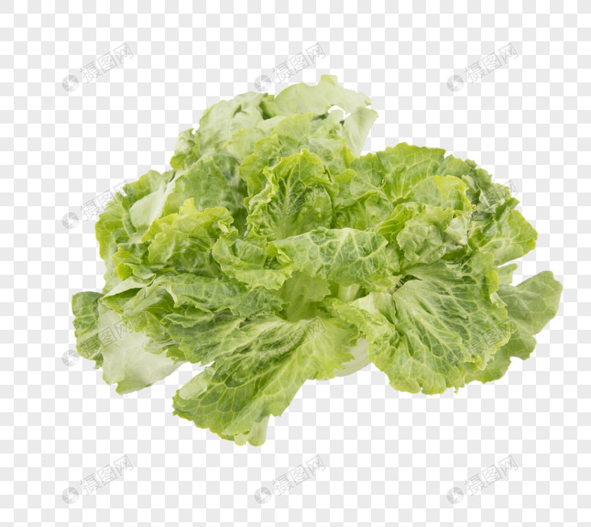 Salat Iz Zelenyh Ovoshej Izobrazhenie Foto Nomer 400643082 Png Format Izobrazheniya Ru Lovepik Com