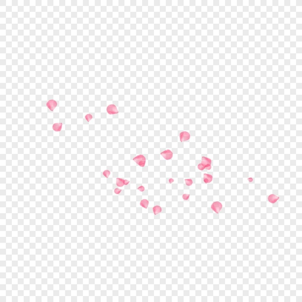 Cherry Blossom Petals Png Transparent