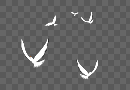 Birds PNG Images With Transparent Background | Free Download On Lovepik