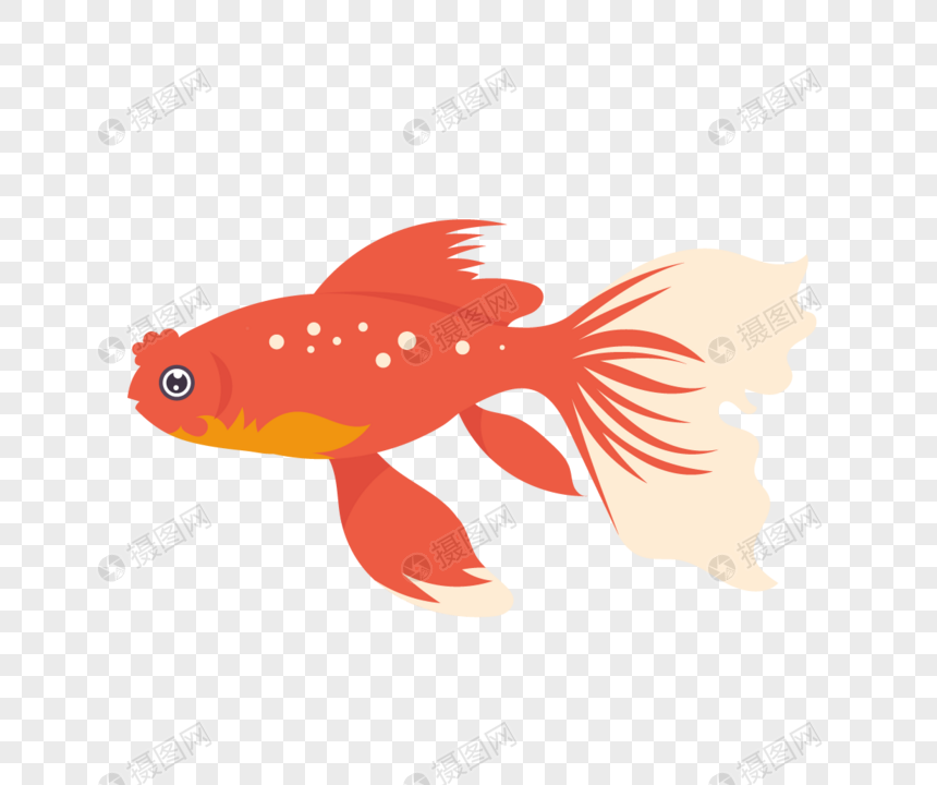 Paling Bagus 14+ Gambar Ikan Ikan Lucu