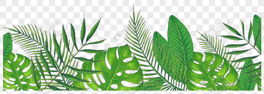 green tropical plant leaves png image picture free download 400695403 lovepik com green tropical plant leaves png